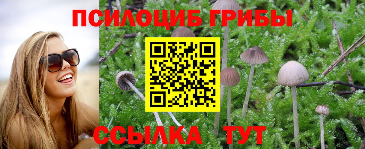 Тихорецк  Псилоцибиновые грибы GOLDEN TEACHER  магазин    Вход с VPN  Галлюциногенные грибы мухоморы 